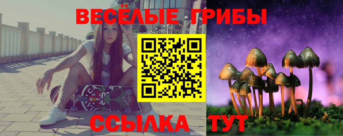 Псилоцибиновые грибы мухоморы Кумертау