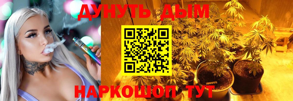 Бошки Шишки OG Kush  Канабис план  Вход с VPN  Кумертау  Бошки Шишки SATIVA & INDICA 